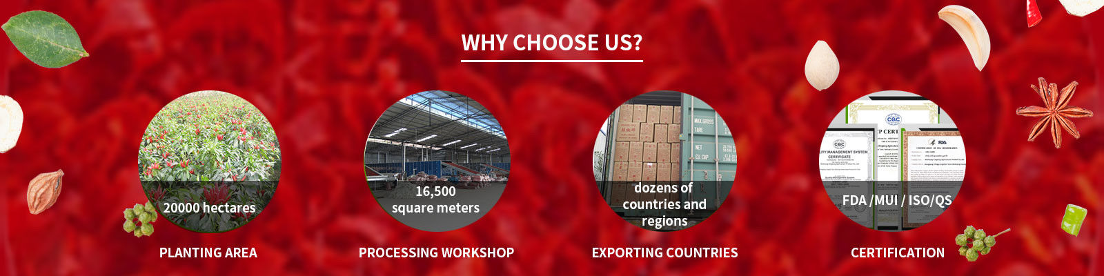 Polvere del peperoncino