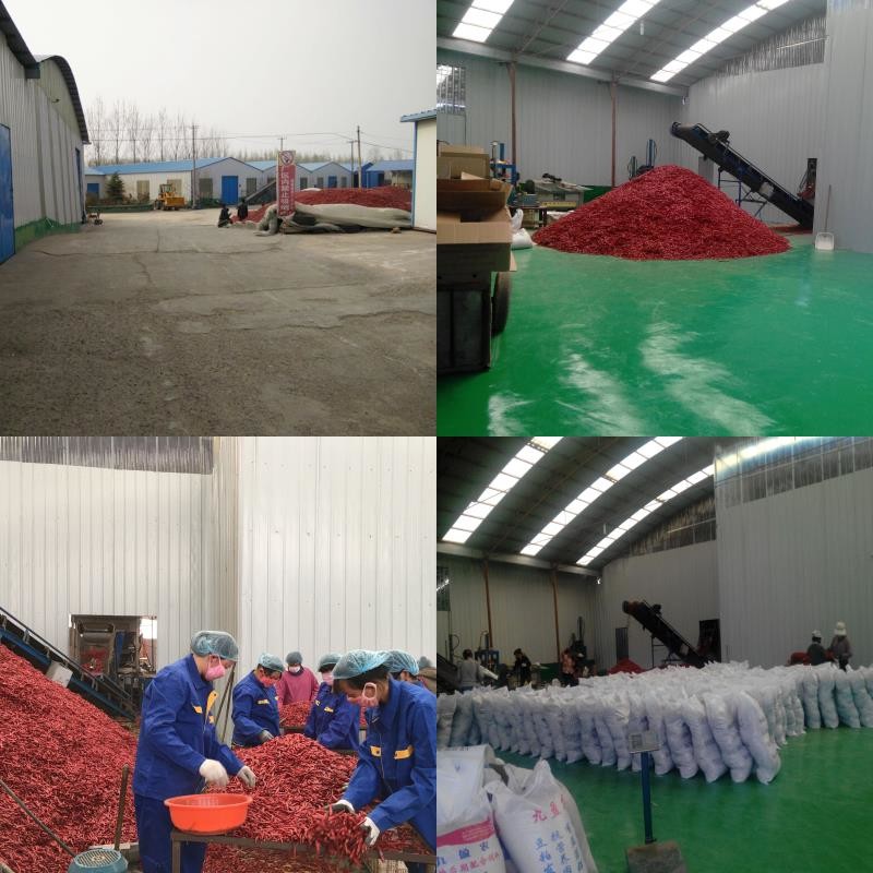 Cina Neihuang Xinglong Agricultural Products Co. Ltd Profilo Aziendale