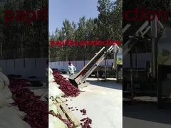 processo di pulizia del peperoncino in Cina