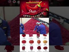 Fabbrica di Spezie 03