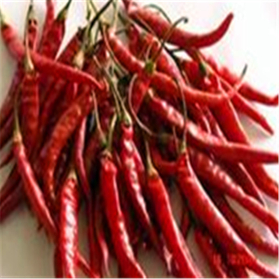 Erjingtiao secchi all'aria, peperoncini secchi senza stelo e con peperoncini.