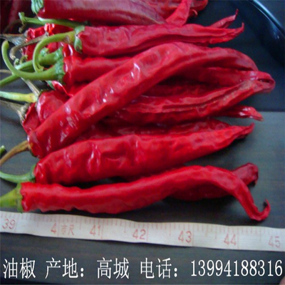 Nessun pigmento Erjingtiao ha asciugato Chilis 16CM 8000SHU di disidratazione staccato rosso