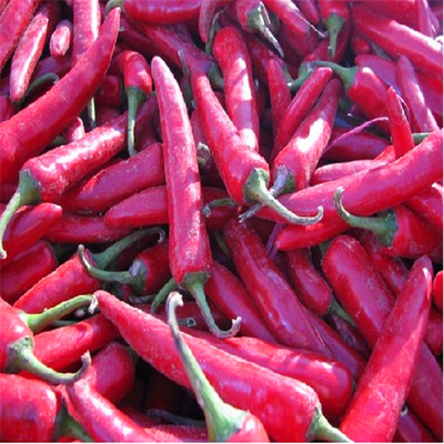 Peppe rosso secco intero con ingredienti senza stamina aggiungere un po'di spezia ai vostri pasti