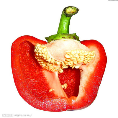Un peperoncino rosso ibrido del grado F1 semina Paprika Pepper dolce 15000SHU