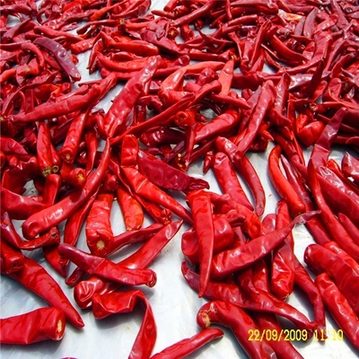 Il dolce delicato del calore ha asciugato Paprika Pepper 1% Max Impurity 15Cm