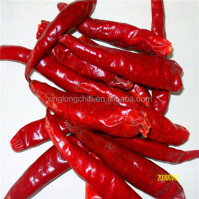 95 - 99% semi di peperoncino essiccati puri di piccole dimensioni croccanti