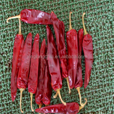 Peppi secchi di calibro Guajillo 500SHU lisci per le marinate