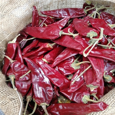 HACCP 200g Yidu Chili Ingredienti 7 - 15cm Sapore pungente di chili