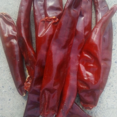 8% di umidità Chili Taglio anulare forte Sapore di chili pungente Alto lucidato 0,5 - 1,5 cm