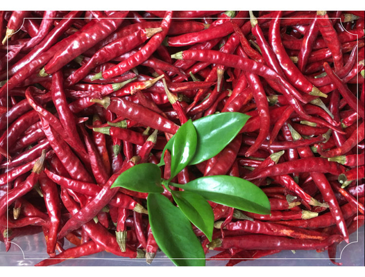 C'è anche un'altra fonte di calcio, il chili secco per occhi d'uccello, per creazioni culinarie audaci e piccanti
