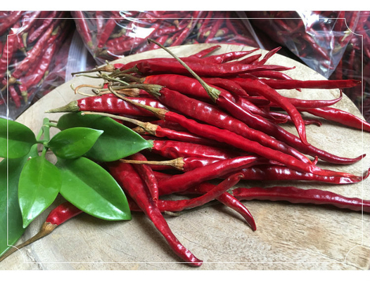 C'è anche un'altra fonte di calcio, il chili secco per occhi d'uccello, per creazioni culinarie audaci e piccanti
