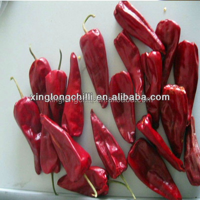 Polvere di peperoncino rosso schiacciato piccante asciutto fresco