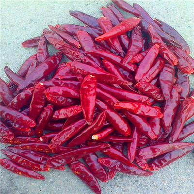 Asiatici piccanti peperoncini secchi di Tianjin 100g Piccoli ricchi di vitamina C