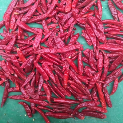 1.5cm Premium Red Chilli Ring Package 1-20KG/CTN Semi 0-35%