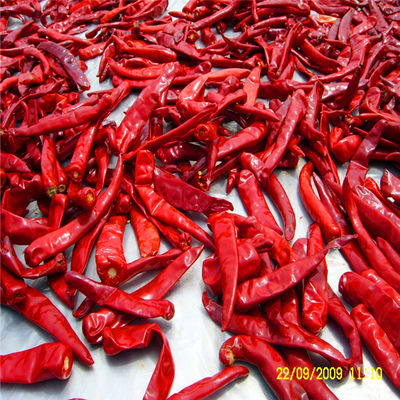 Polvere di peperoncino rosso organico con allergeni sconosciuti e 100 grammi di peso netto per la cucina cinese