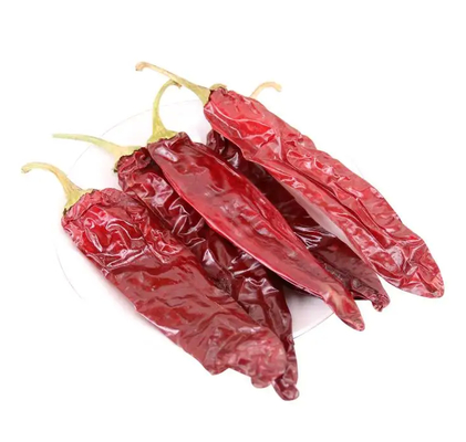 Forma di bastone Ceresso rosso Guajillo Chilis Grado A 10-15cm Dimensione