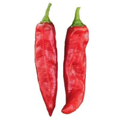 I peperoncini rossi secchi migliorano il tuo business con il potere rosso e l' 1% di impurità.