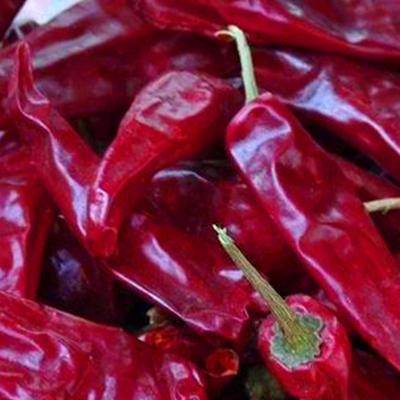 Peppi rossi essiccati all'aria per la pentola piccante e la cucina del Sichuan