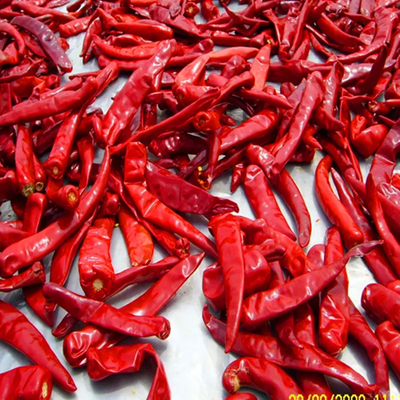 10 kg di peso unitario di peperoncino con tenore di umidità di 12%Max