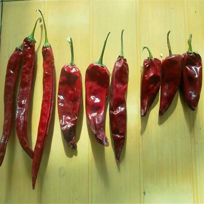 500 SHU Calore Yidu Chili Ingredienti caldi e piccanti all'ingrosso