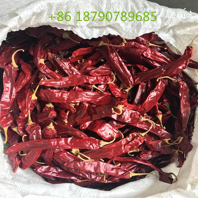 7-19 cm di peperoncini dolci secchi di colore rosso naturale