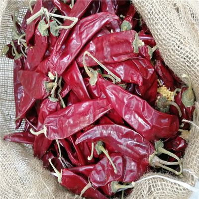 Umidità 8%-12% Guajillo secco Chili di grado A Con impurità 0,1% Max