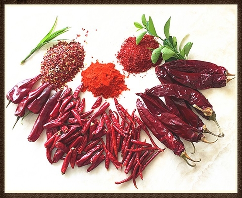 Umidità 8%-12% Guajillo secco Chili rosso intero / bastone