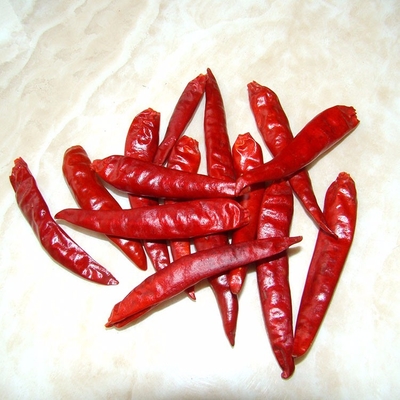 Umidità 8%-12% Guajillo secco Chili rosso intero / bastone