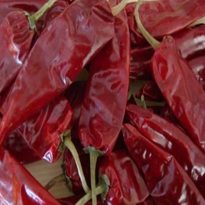 Red Jinta Chilli Umidità 8%-12% Impurità 0,1% Max Per la cucina tradizionale