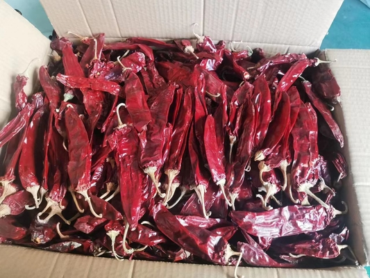 Aggiungi un po'di calore ai tuoi piatti con i baccelli di peperoncino secco 500SHU 20-25cm