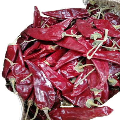 Con sapore piccante e rosso Guajillo Chili Paprika Pod senza fusto