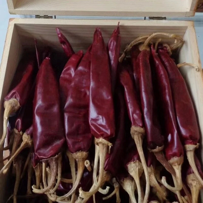 Peppi di Cayenne essiccati senza gambo o tagliati 12% umidità massima