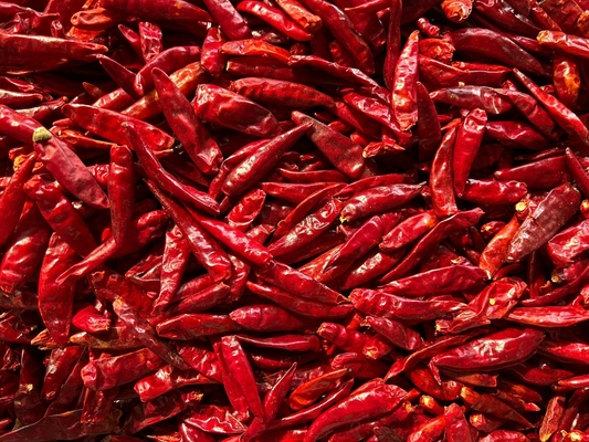 I cuochi si divertono con il peperoncino secco e piccante