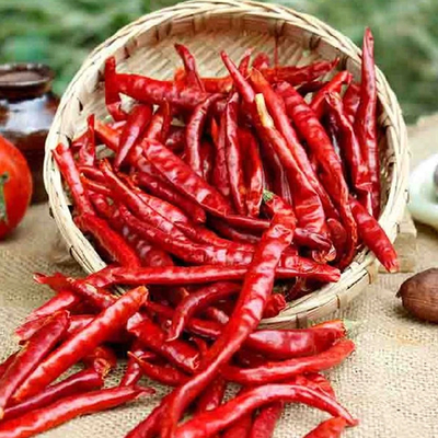 Spiccia di peperoncino rosso e condimenti in polvere per la vostra eccellente esperienza culinaria