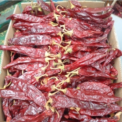 Ricco di vitamine A e C peperoncino secco pepe dolce sapore spezia e condimento in polvere