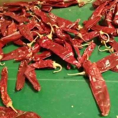 Solo erbe e spezie sui peperoncini secchi per le vostre esigenze commerciali