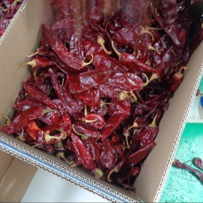 Ingredienti Paprika pepe Chili Capsicum Xinjiang Chilli Grado di pungentezza 500SHU