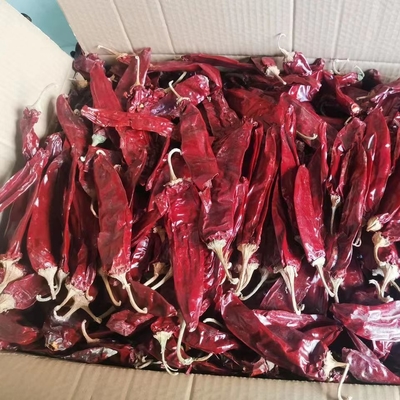 1 anno di durata di conservazione Paprika dolce peperoncino secco Additivo di peperoncino rosso per ingredienti alimentari