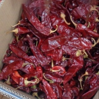 Baccelli di paprika rosso secco per il tuo negozio di ingredienti alimentari