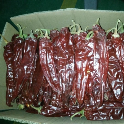 Baccelli di paprika rosso secco per il tuo negozio di ingredienti alimentari