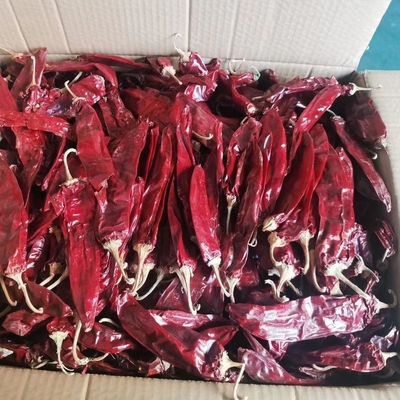 1000 cfu/g di paprika per il tuo business degli ingredienti alimentari