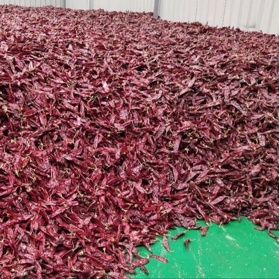 1000 cfu/g di paprika per il tuo business degli ingredienti alimentari