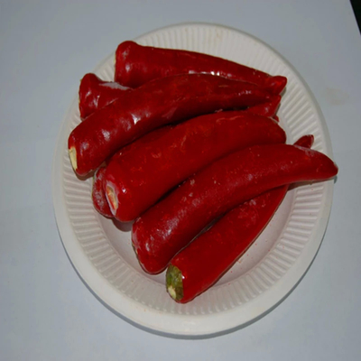 Polvere di peperoncino indiano di prima qualità - ASTA 120 a consistenza fine