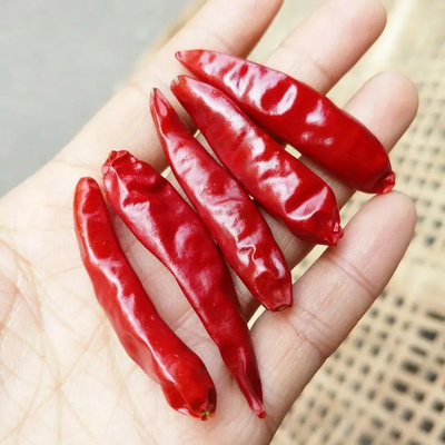 Non additivi Red Bullet Chilli con cappello per il tuo business standard