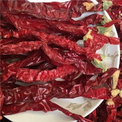 Prova il calore dei peperoncini secchi: sapore forte e pungente per una conservazione fresca e asciutta