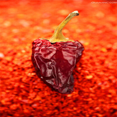 Premium AD Drying Process Paprika Chilli Pepper Powder High in Vitamin C with 80-220 ASTA for Culinary and Food Manufacturing