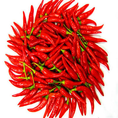 Certificato CASCER di HACCP di 20000 SHU Sanying Tianjin Red Chilies