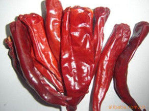 Norma CASCER di Jinta di HACCP rosso Stemless del peperoncino