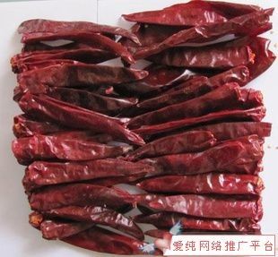 10-15 cm di calibro A Red Jinta Chilli Pepper 50BLS sacchetti confezionati