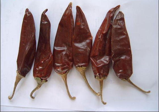 Peperoncino rosso secco di condimento 180 ASTA Red Hot Chili Peppers di Guajillo
